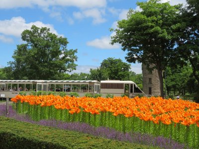 🏞️ 유리가하라 공원